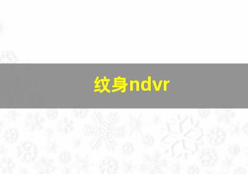 纹身ndvr