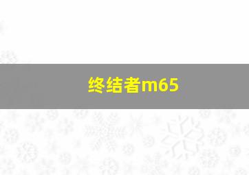 终结者m65