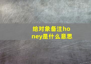 给对象备注honey是什么意思