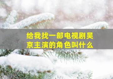 给我找一部电视剧吴京主演的角色叫什么