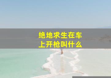 绝地求生在车上开枪叫什么