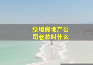 绿地房地产公司老总叫什么