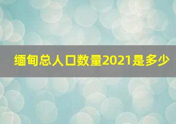 缅甸总人口数量2021是多少