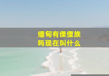 缅甸有傈僳族吗现在叫什么