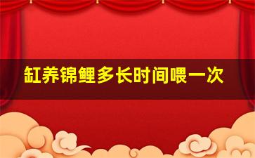 缸养锦鲤多长时间喂一次