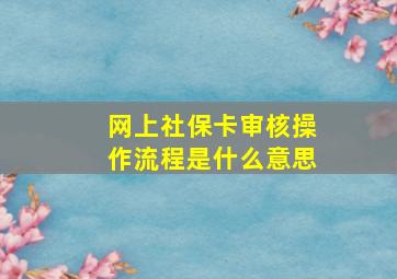 网上社保卡审核操作流程是什么意思