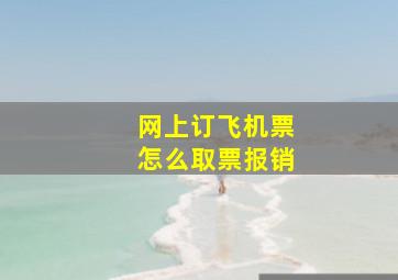 网上订飞机票怎么取票报销