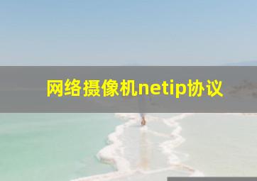 网络摄像机netip协议