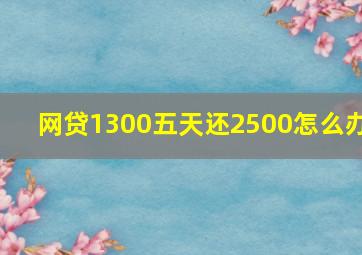 网贷1300五天还2500怎么办