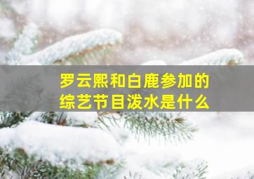 罗云熙和白鹿参加的综艺节目泼水是什么