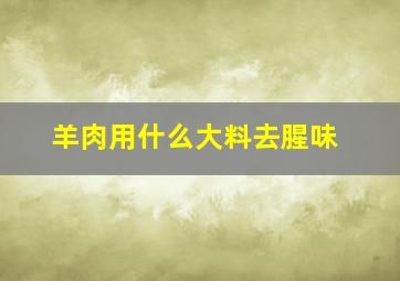 羊肉用什么大料去腥味