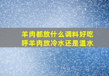 羊肉都放什么调料好吃呼羊肉放冷水还是温水