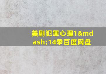 美剧犯罪心理1—14季百度网盘