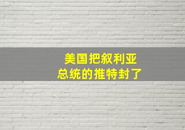 美国把叙利亚总统的推特封了