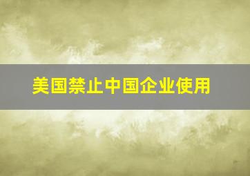 美国禁止中国企业使用