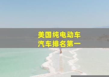 美国纯电动车汽车排名第一