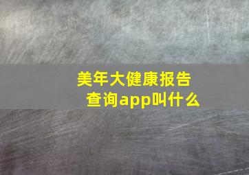 美年大健康报告查询app叫什么