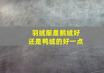 羽绒服是鹅绒好还是鸭绒的好一点