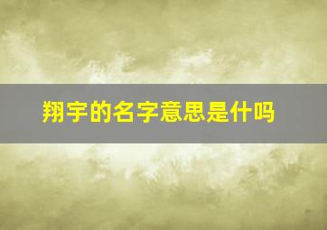 翔宇的名字意思是什吗