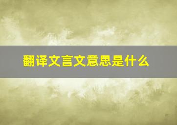 翻译文言文意思是什么