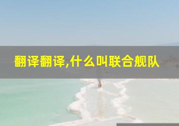 翻译翻译,什么叫联合舰队