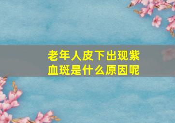 老年人皮下出现紫血斑是什么原因呢