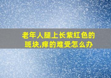 老年人腿上长紫红色的斑块,痒的难受怎么办