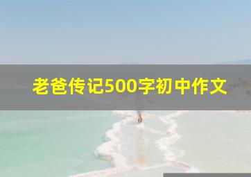 老爸传记500字初中作文