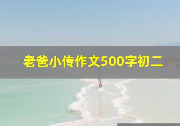 老爸小传作文500字初二