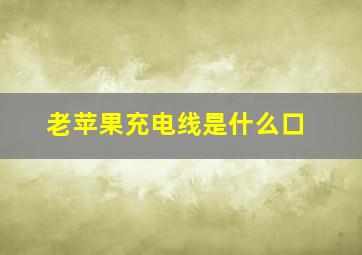 老苹果充电线是什么口