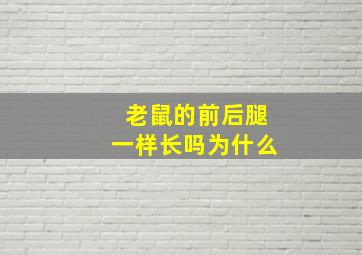 老鼠的前后腿一样长吗为什么