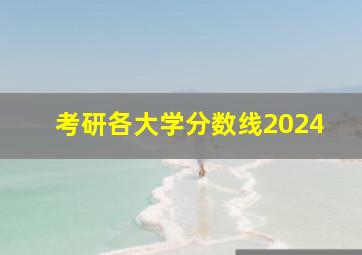 考研各大学分数线2024