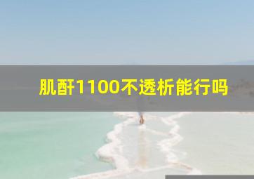 肌酐1100不透析能行吗