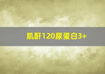 肌酐120尿蛋白3+