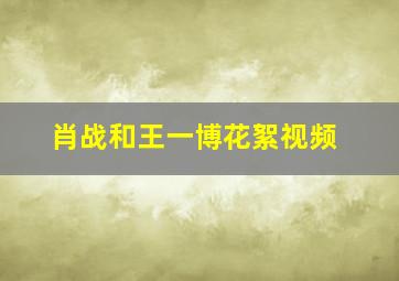 肖战和王一博花絮视频