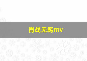 肖战无羁mv