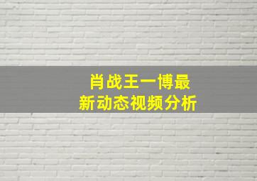 肖战王一博最新动态视频分析