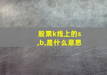 股票k线上的s,b,是什么意思