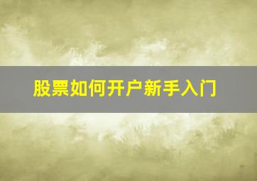 股票如何开户新手入门