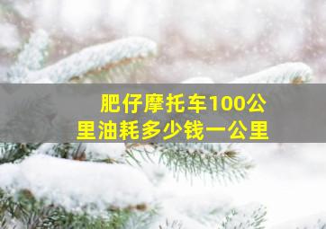 肥仔摩托车100公里油耗多少钱一公里