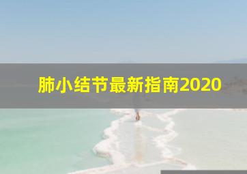 肺小结节最新指南2020