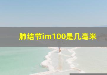 肺结节im100是几毫米