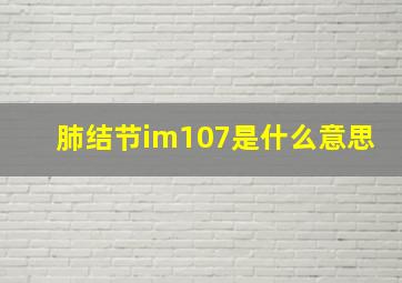 肺结节im107是什么意思