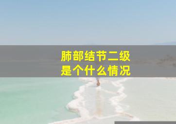 肺部结节二级是个什么情况