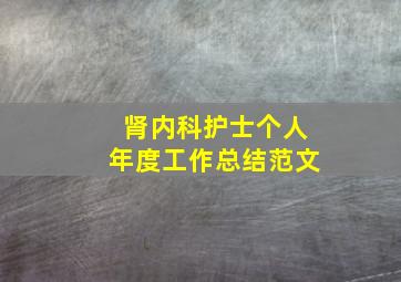 肾内科护士个人年度工作总结范文