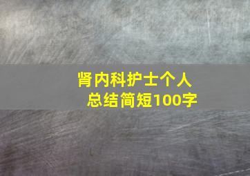 肾内科护士个人总结简短100字