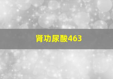 肾功尿酸463