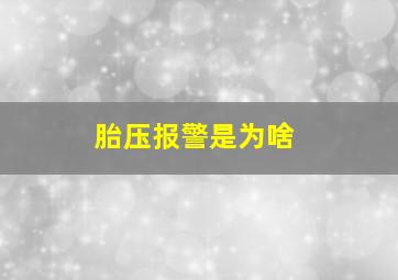 胎压报警是为啥