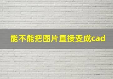 能不能把图片直接变成cad