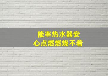 能率热水器安心点燃燃烧不着